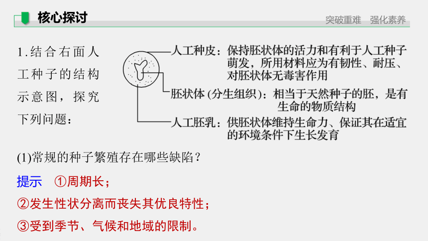 高中生物苏教版（2019）选择性必修3 生物技术与工程 第二章 第二节　植物细胞工程的应用（81张PPT）