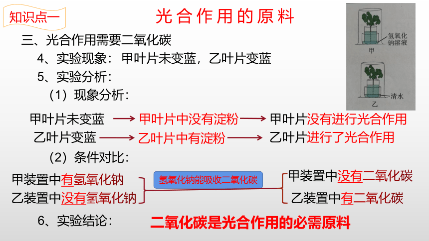 2022-2023学年七年级生物上学期3.5.1 光合作用吸收二氧化碳释放氧气-同步优质课件(共22张PPT)