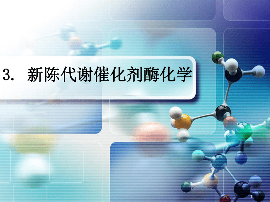 3.4酶促反应的动力学 课件(共41张PPT)- 《环境生物化学》同步教学（机工版·2020）