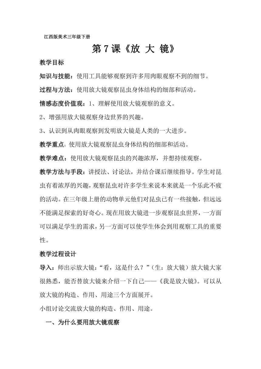 赣美版  放大镜 教案