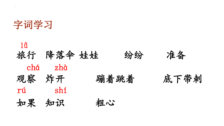 3植物妈妈有办法（课件）(共24张PPT)