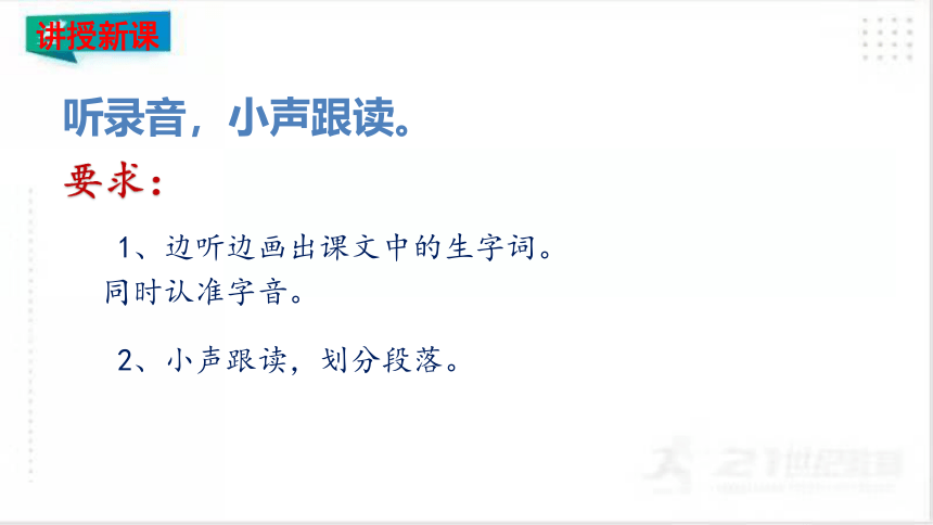 4.珍珠鸟   课件（共49张PPT）