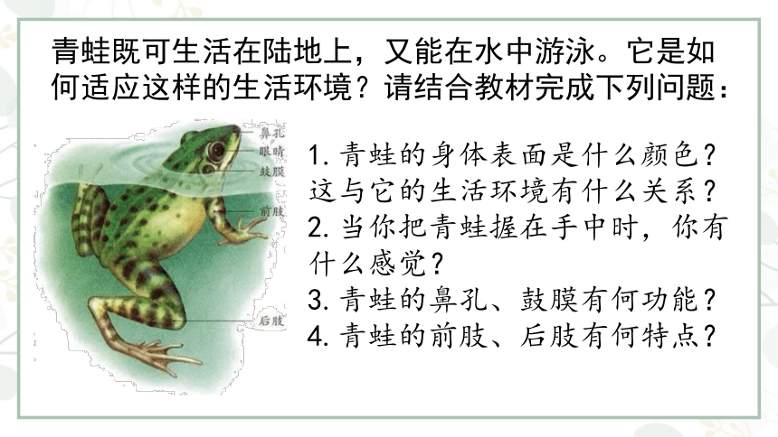 5.1.5两栖动物和爬行动物课件(共21张PPT)2022--2023学年人教版生物八年级上册