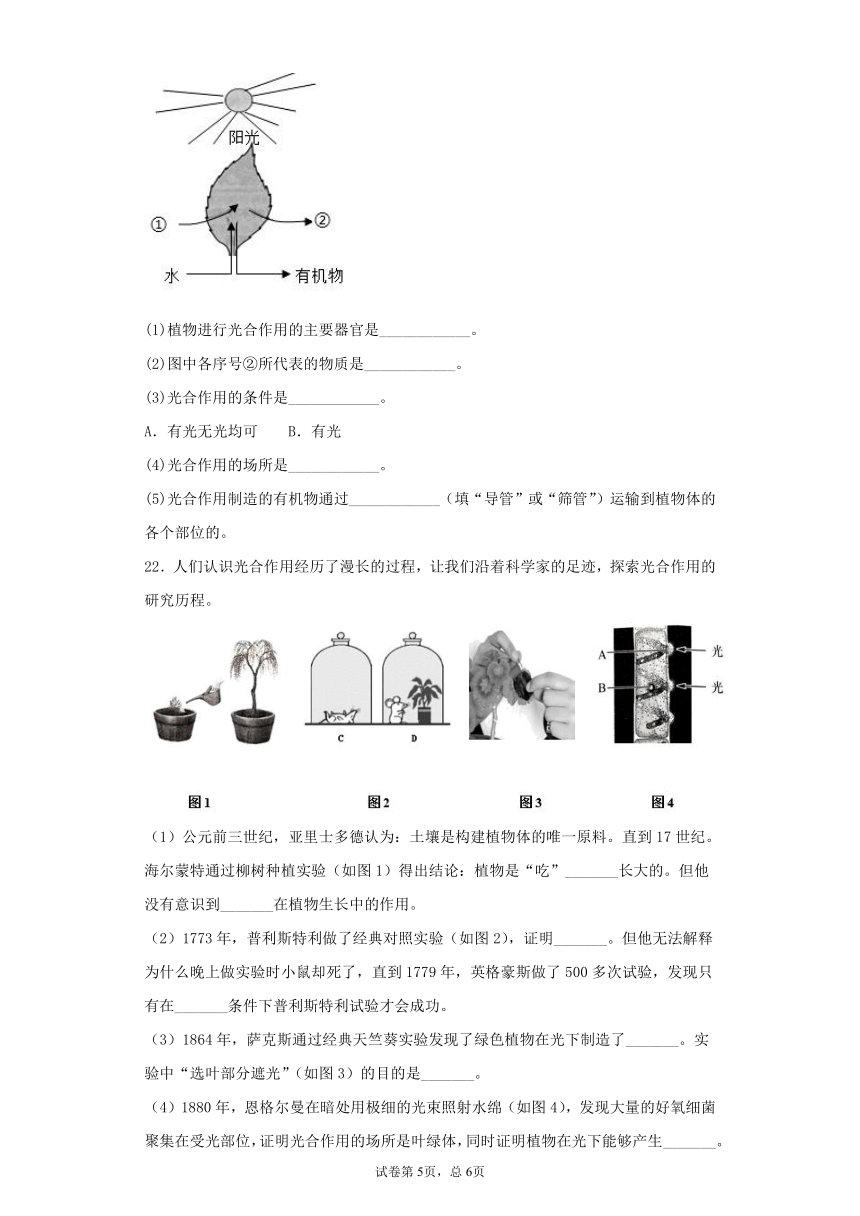 3.5.1光合作用吸收二氧化碳释放氧气同步练习(word版含解析）