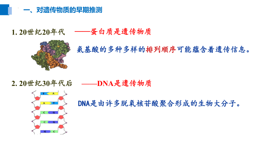 3.1DNA是主要的遗传物质课件-(共27张PPT)人教版（2019）必修2