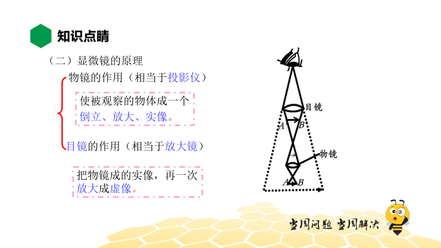 物理八年级-5.5【知识精讲】显微镜和望远镜（22张PPT）