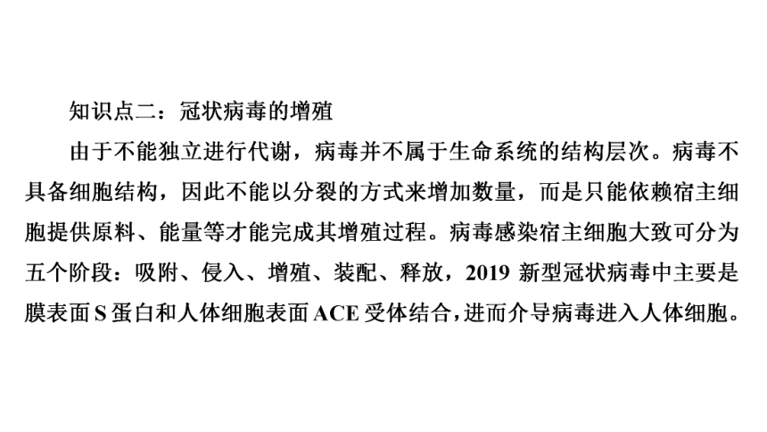 高考生物热点集训15　冠状病毒及其免疫过程(共21张PPT)