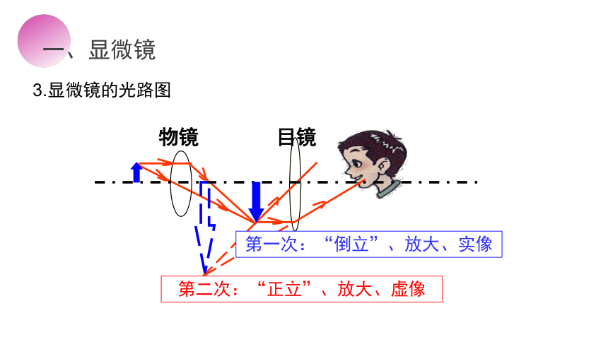 人教版物理八年级上册课件：5.5 显微镜和望远镜（共38张PPT）