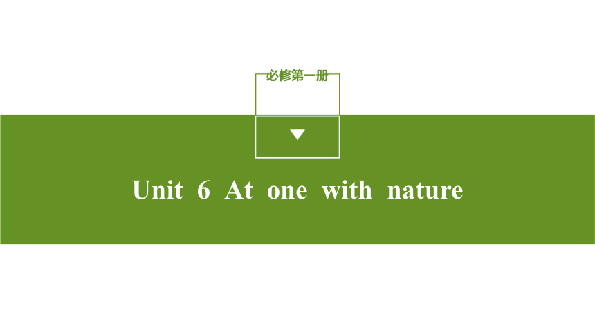 外研版（2019）   必修第一册 Unit 6 At one with nature单元习题课件(共102张PPT)
