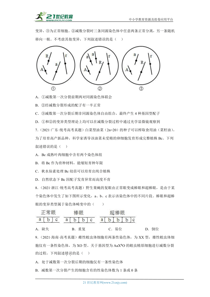 五年2018-2022高考生物真题按知识点分类汇编46-染色体变异（含解析）