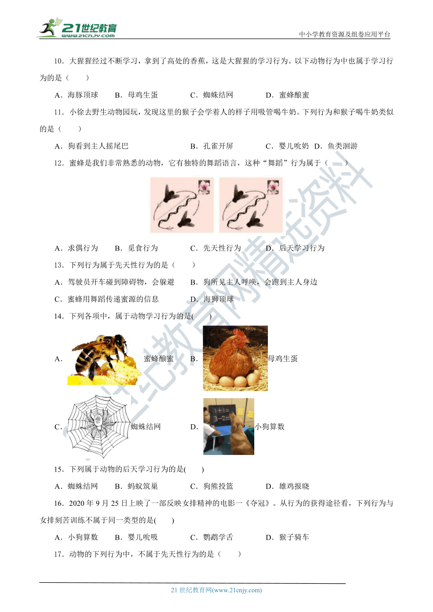 3.4动物的行为 同步学案（含解析）