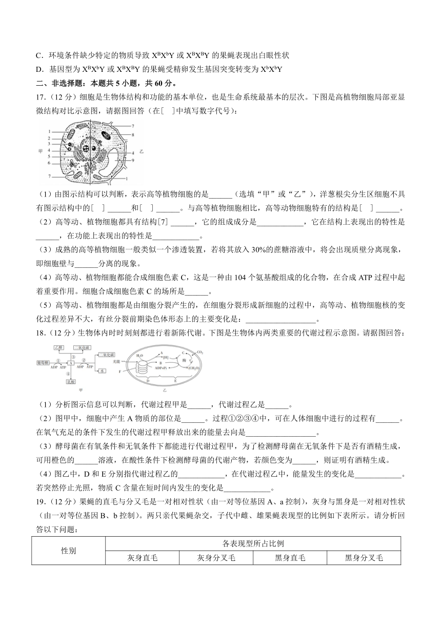 广东省汕尾市2020-2021学年高一下学期期末考试生物试题 Word版含解析