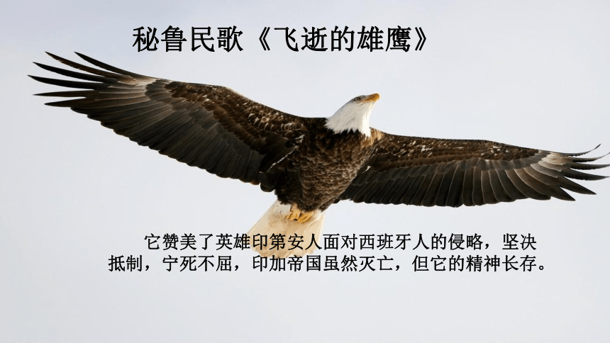 粤教版 八年级下册音乐 第4单元 印第安民歌 飞逝的雄鹰  芦笛曲 鹰 课件 (共21张PPT）