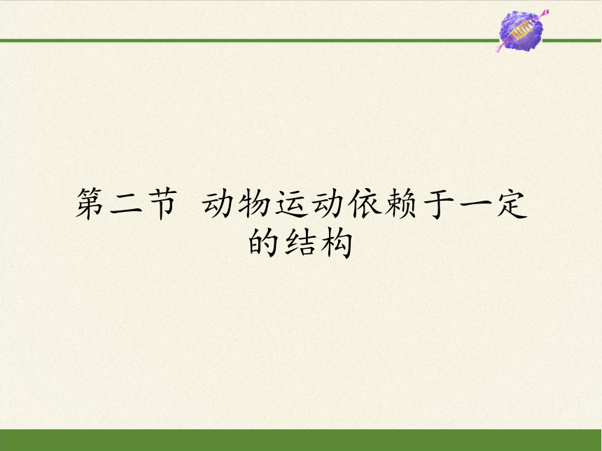 苏教版八年级生物上册 17.2  动物运动依赖于一定的结构(7) 课件(共16张PPT)