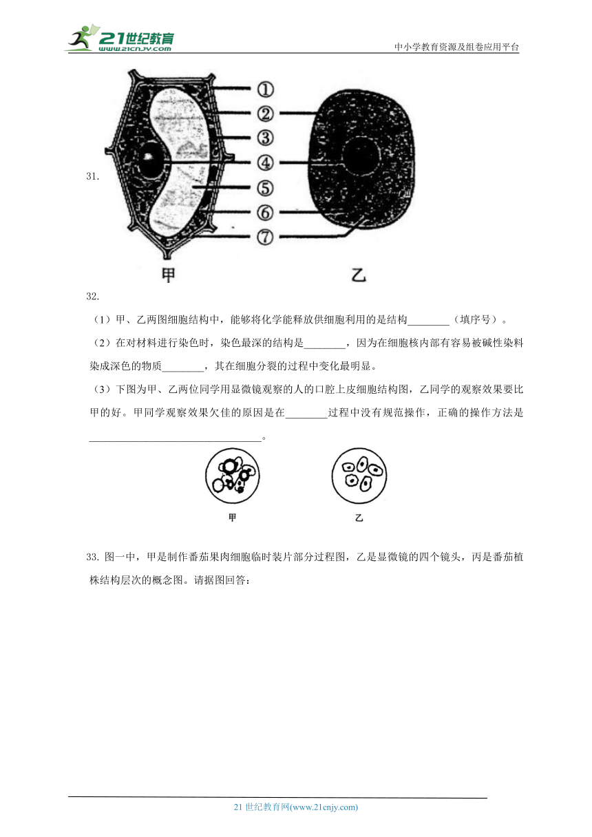 2022年人教版七年级生物实验探究题汇总（含答案）