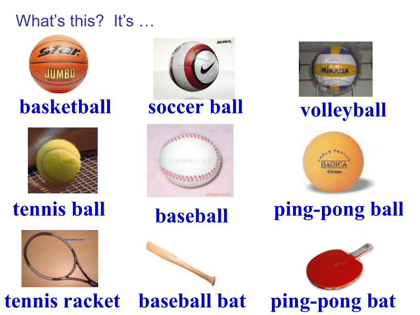 2020-2021学年人教版新目标英语七年级上册课件：Unit 5 Do you have a soccer ball? 1a-2d（共有PPT33张，无音频）