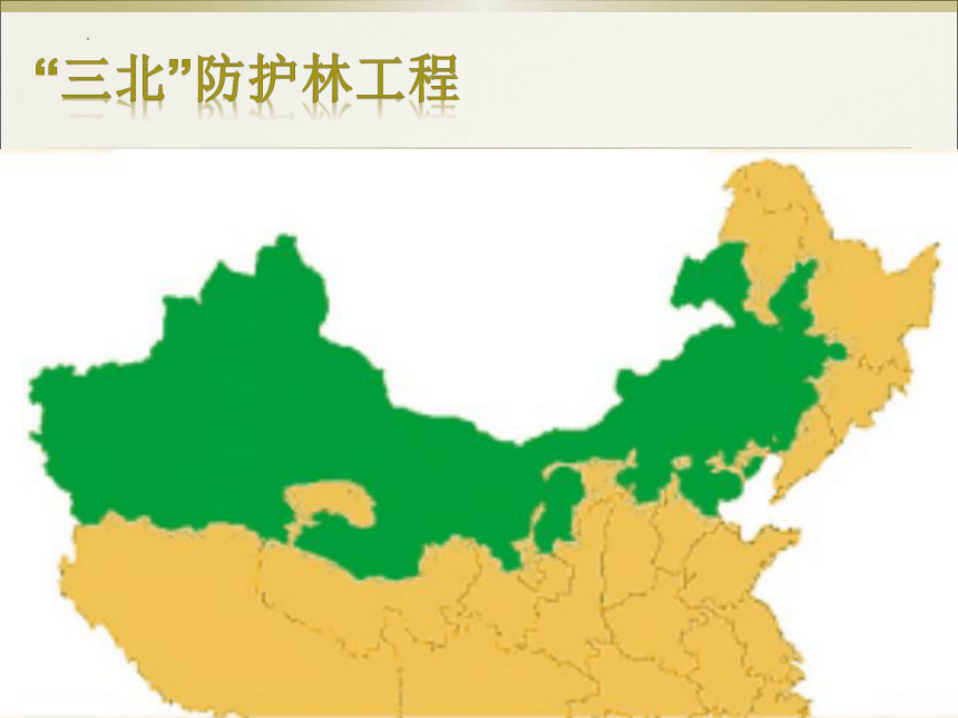 7.3我国的绿色生态工程课件(共37张PPT)