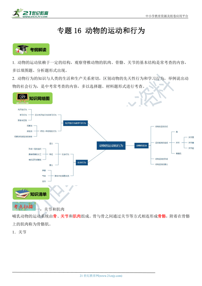 专题16 动物的运动和行为【名师导航】中考生物一轮复习学案（含解析）