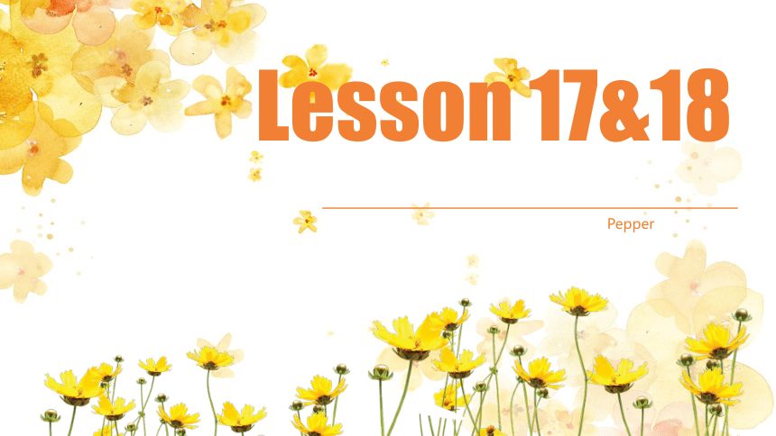 新概念一册 Lesson 17&18 课件（共40张PPT）