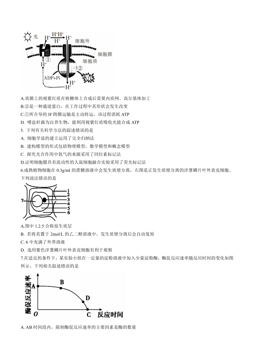 湖南省郴州市2022-2023学年高一下学期开学考试生物学试题（Word版含答案）