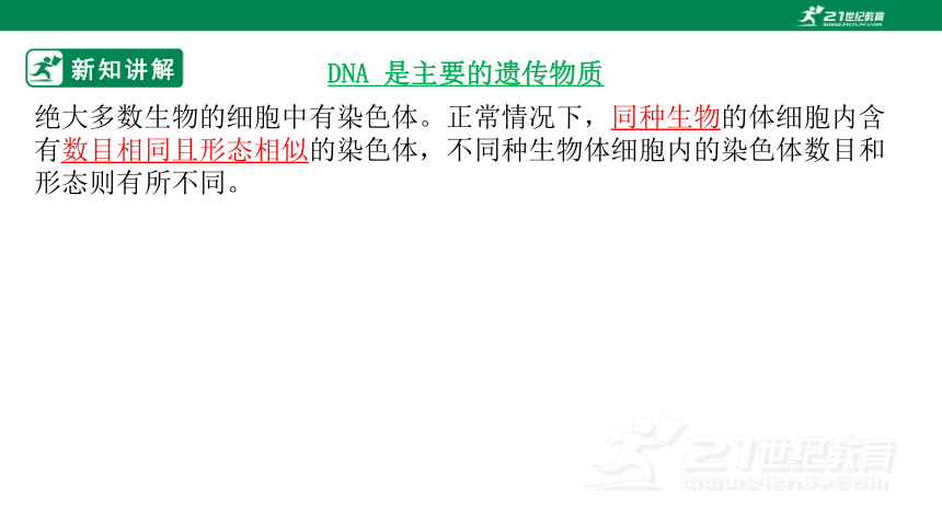 济南版4.4.1 遗传的物质基础-2022-2023学年八年级生物上册同步课件（含30张ppt）