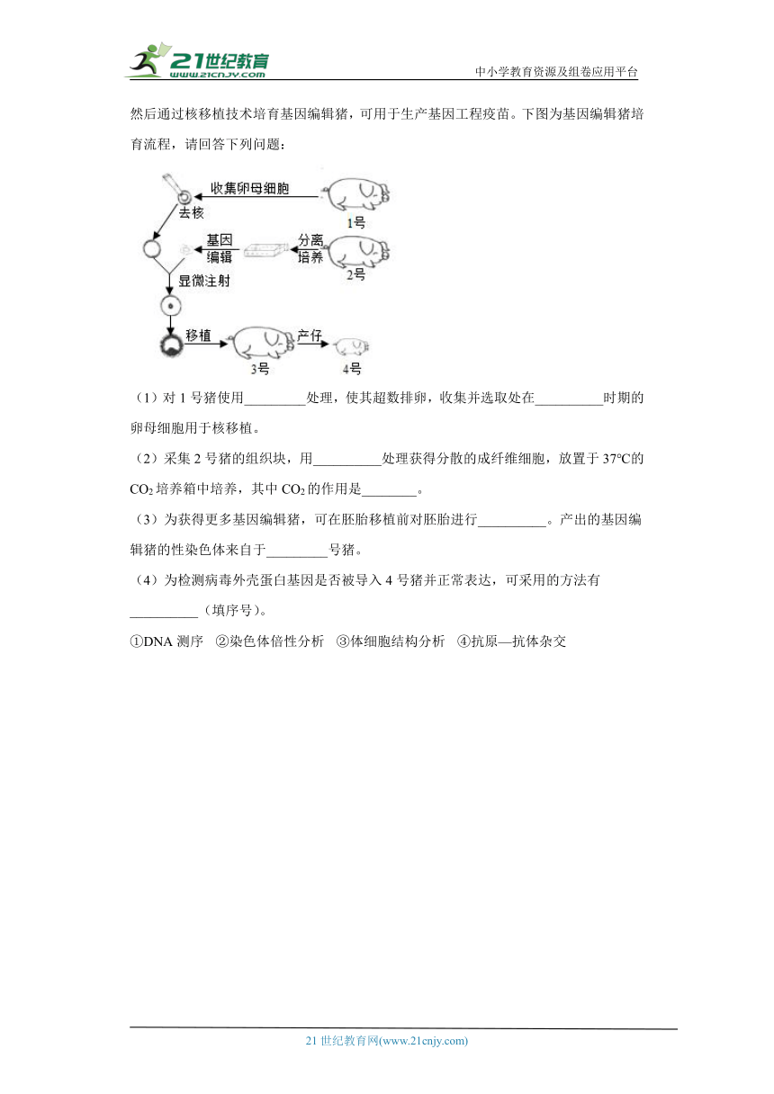 五年2018-2022高考生物真题按知识点分类汇编96-生物技术工程-细胞工程、动物细胞体细胞的核移植技术和克隆动物（含解析）