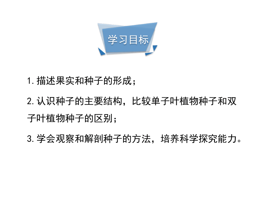 第一章 绿色开花植物的一生  第三节 果实和种子的形成  课件（21张PPT）