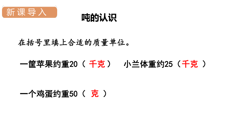 人教版三年级数学上册3.3吨的认识课件（18张PPT)