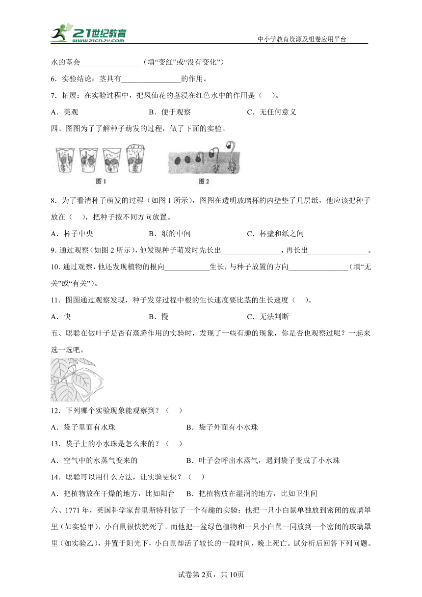 【期末专项】教科版四年级下册实验题专项练习（含答案）