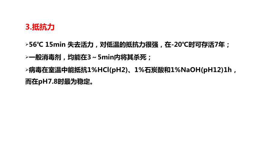 5.3禽传染性支气管炎 课件(共41张PPT)-《畜禽疫病防治》同步教学（高教版）