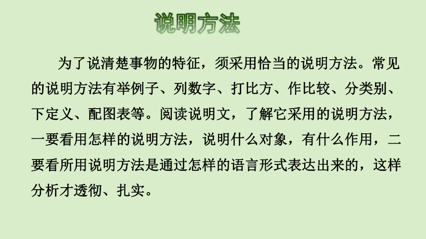 部编版五年级上册第五单元16 太阳课前预习资料（共14张PPT）