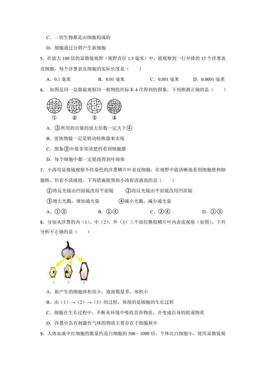 2.2细胞 同步训练（含答案）