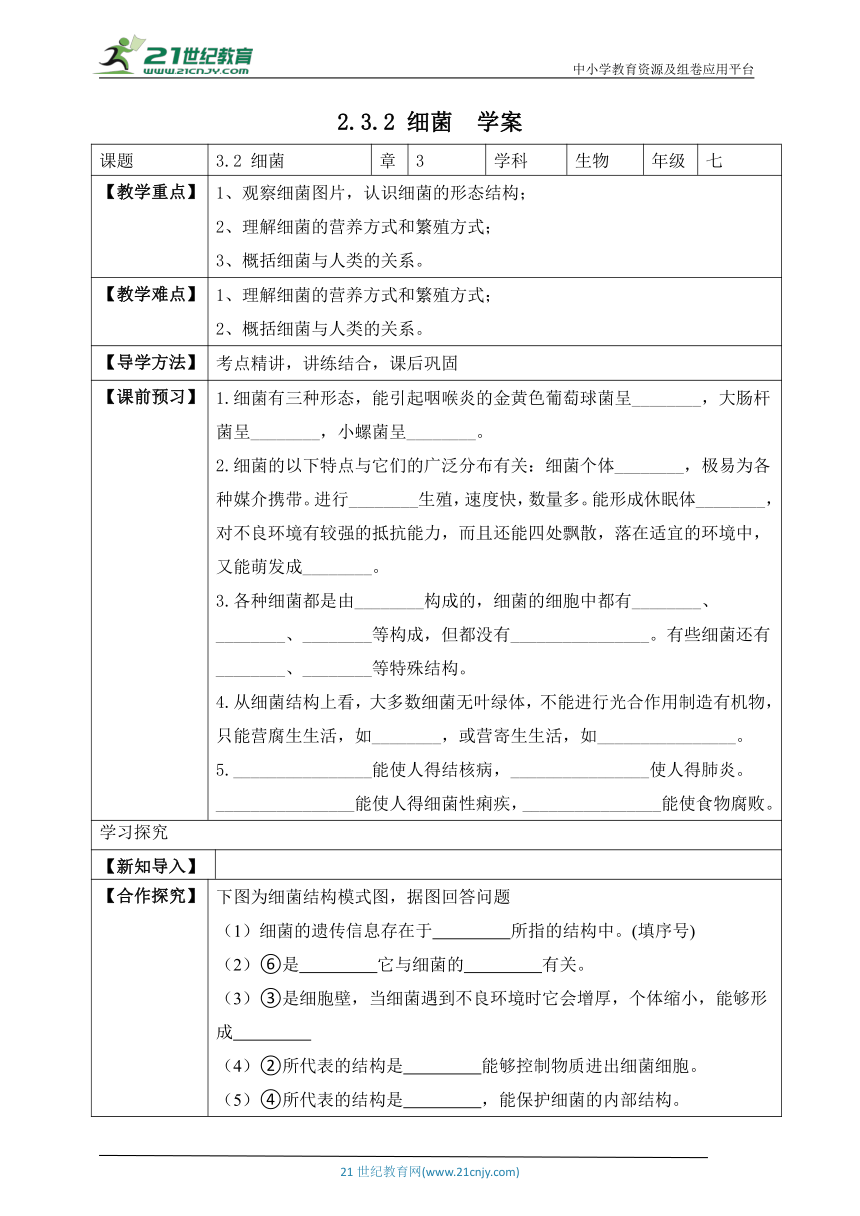 济南版2.3.2 细菌-2022-2023学年七年级生物上册同步学案（含答案）