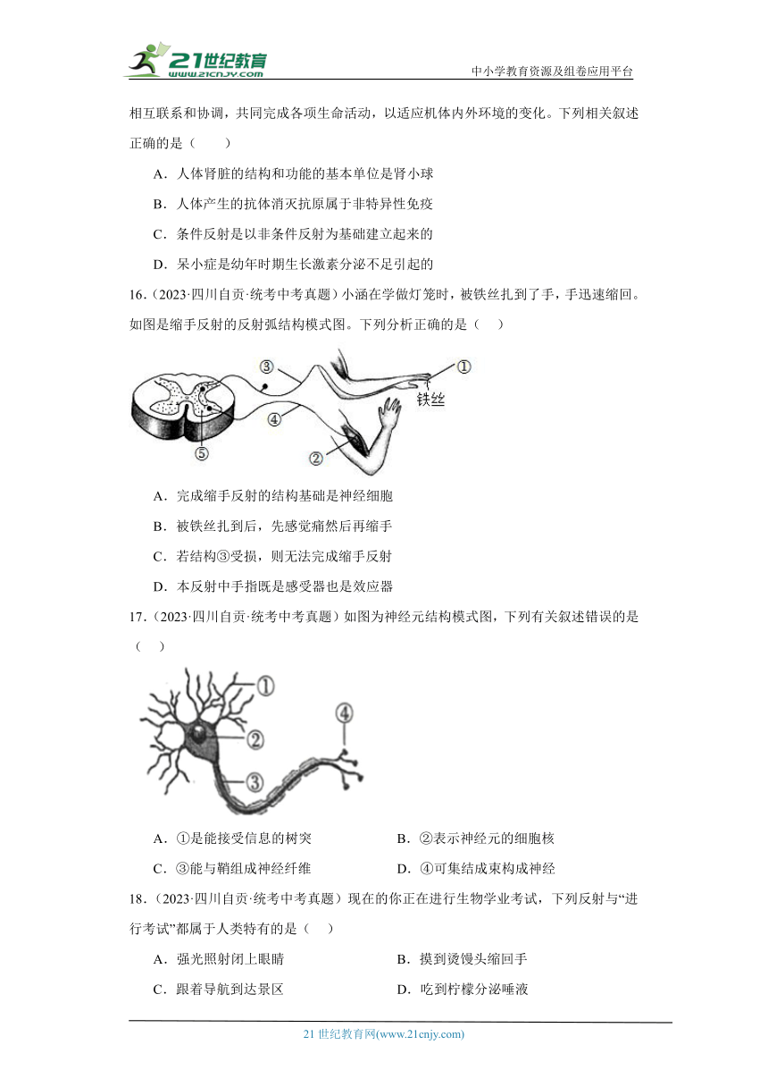 全国中考生物2023年真题分类汇编-37人体的神经调节②