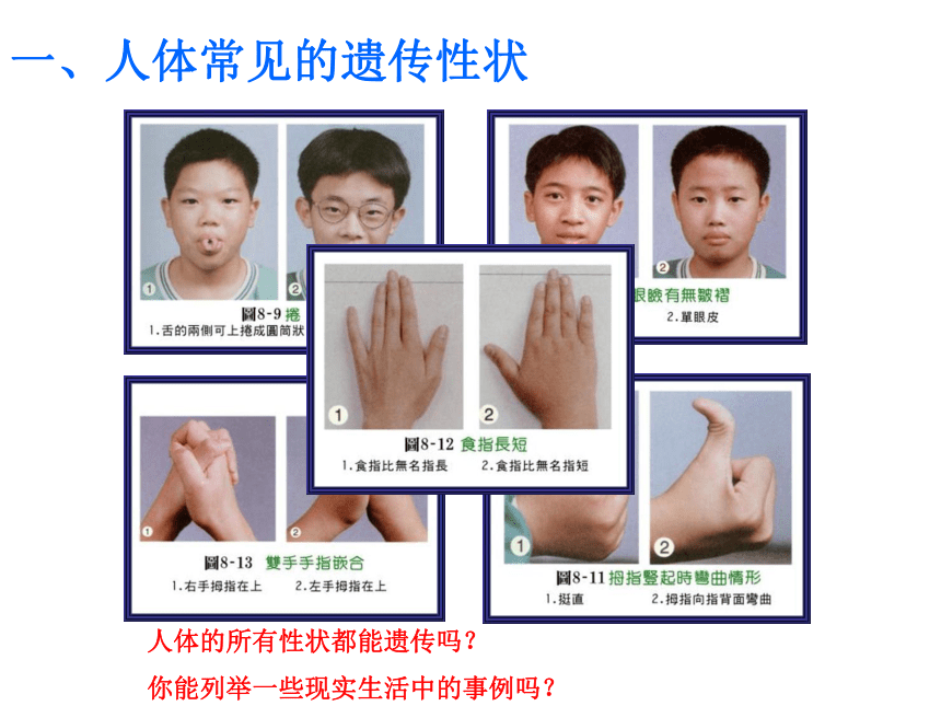 苏教版八年级下册生物 22.2人的性状和遗传 课件（21张PPT）