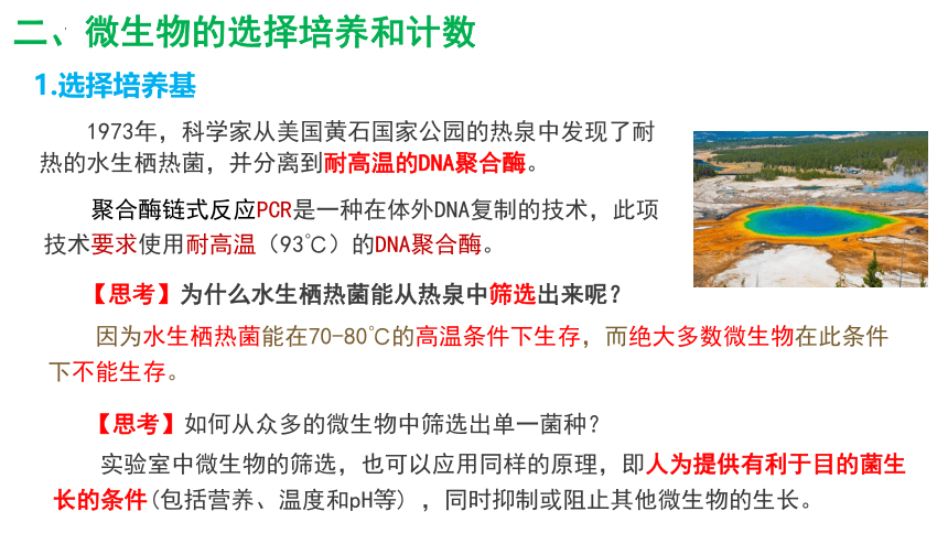 1.2.2微生物的培养技术及应用课件2(共29张PPT)022-2023学年高二下学期生物人教版选择性必修3