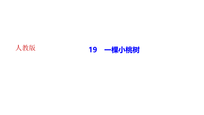 19*一棵小桃树 讲练课件——2020-2021学年湖北省黄冈市七年级下册语文部编版(共23张PPT)