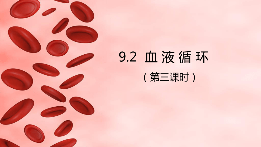 4.9.2 血液循环（第三课时）课件(共20张PPT)2022--2023学年北师大版生物七年级下册