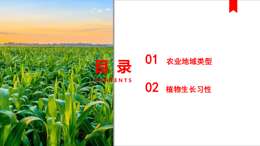3.1 农业地域类型 课件（45张）