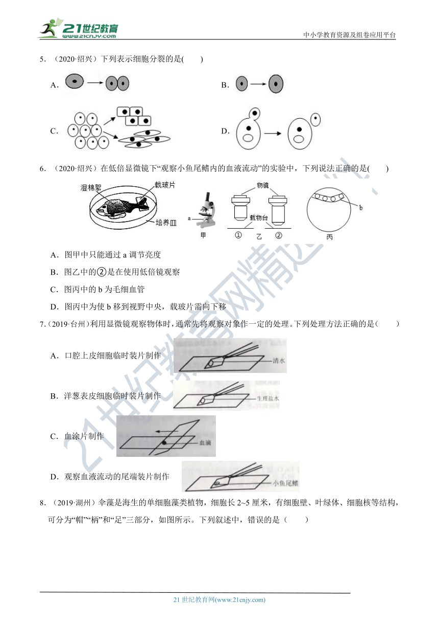 冲刺2022中考必刷选择题（2）显微镜与细胞、植物及其繁殖、动物及其繁殖（含答案）
