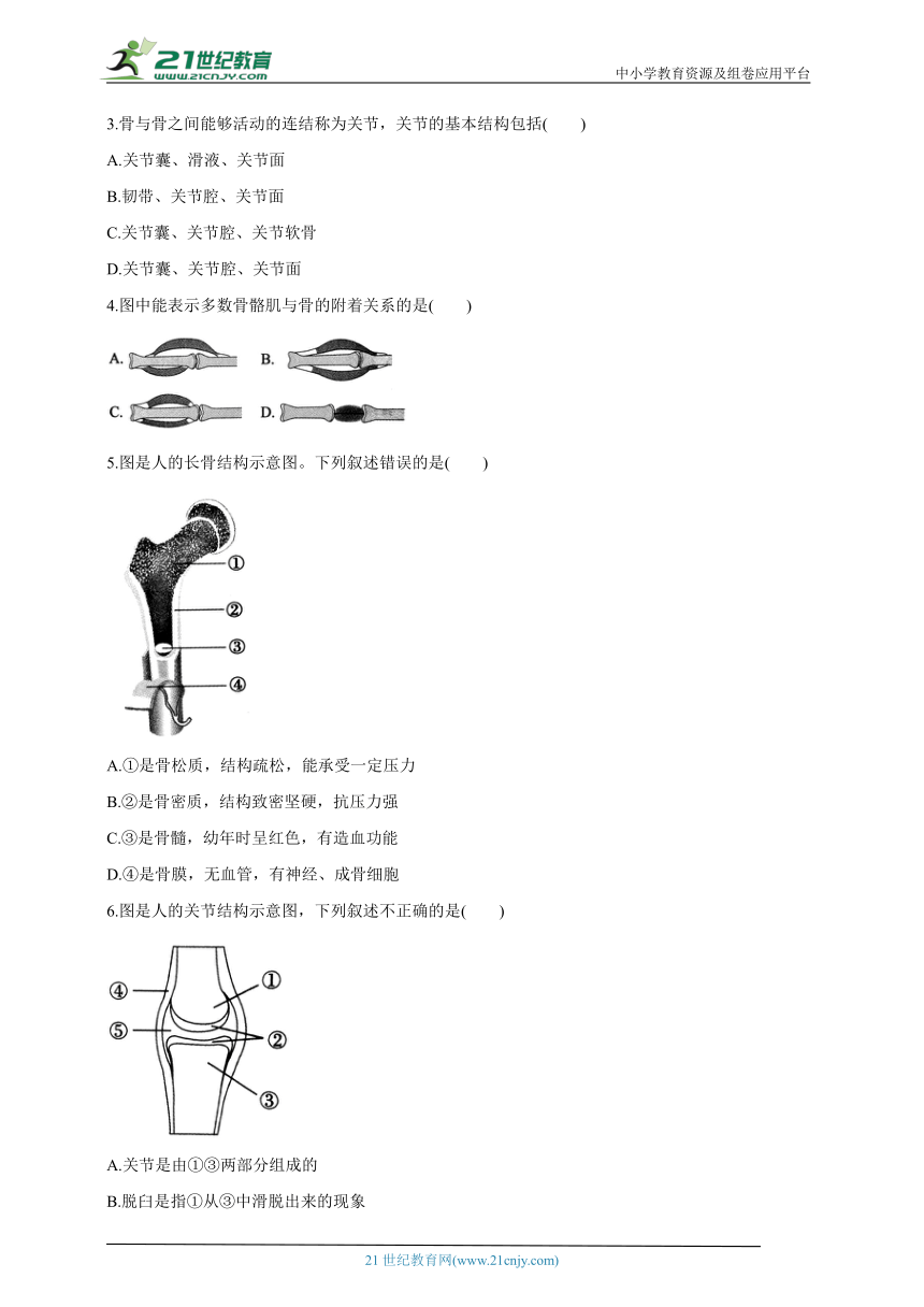 冀少版八年生物上册4.1.1运动的基础  学案