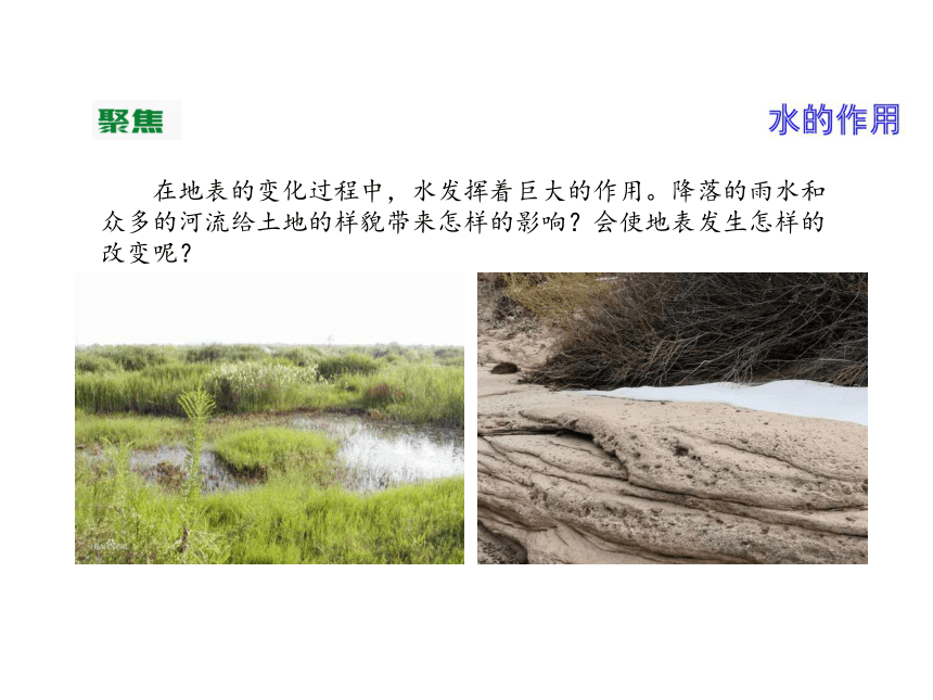 2.6水的作用 课件（含练习）（共41张PPT)