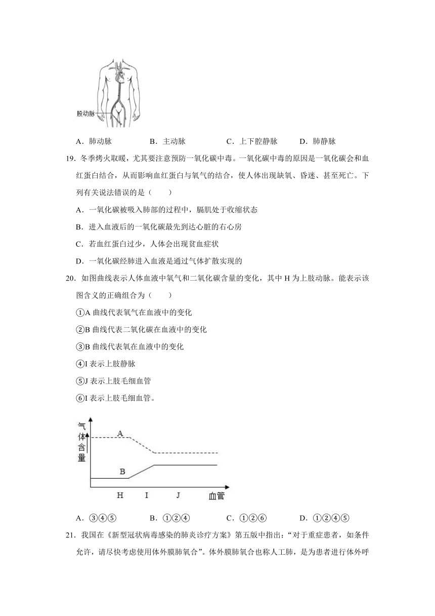 2020-2021学年山东省威海市乳山市七年级（上）期末生物试卷（五四学制）    解析版