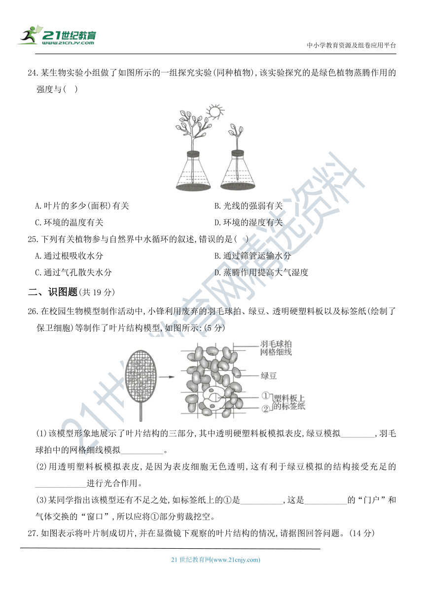 第三单元 第三章 绿色植物与生物圈的水循环 章节测评卷（含重点解析）