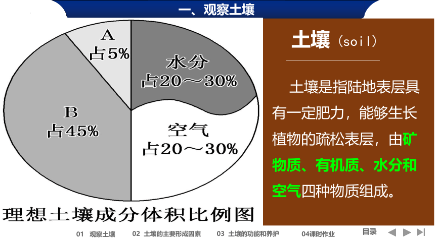 5.2土壤（共50张ppt）