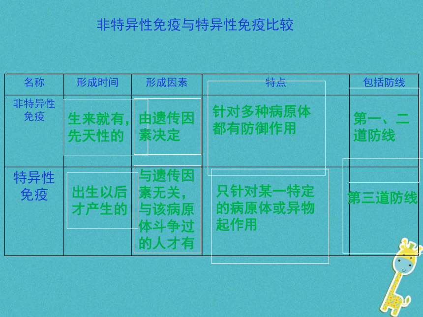 8.1.2 免疫与计划免疫  课件2022-2023学年人教版生物八年级下册（共18张PPT）