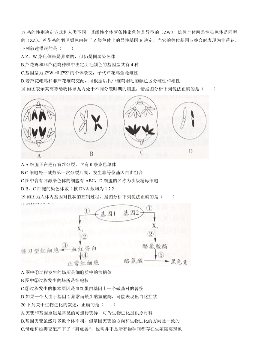 辽宁省沈阳市联合体2022-2023学年高一下学期期末考试生物学试题(word版无答案)