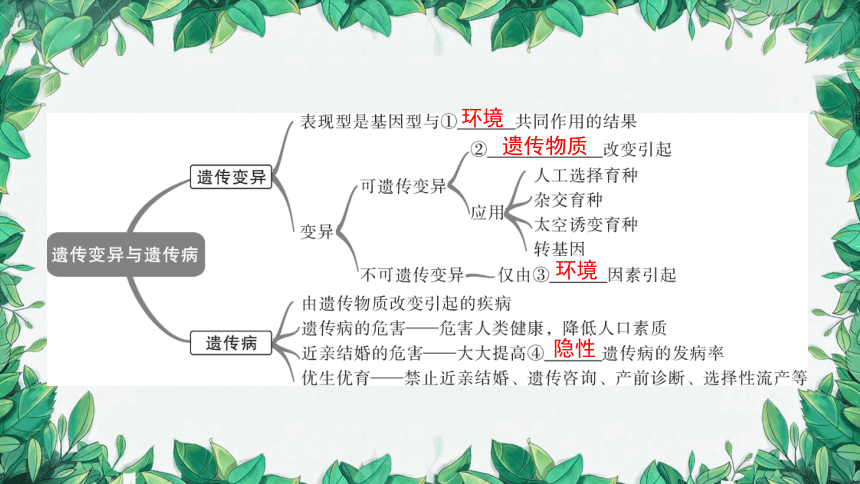 2023年中考生物复习 课题五 遗传变异与遗传病课件(共31张PPT)