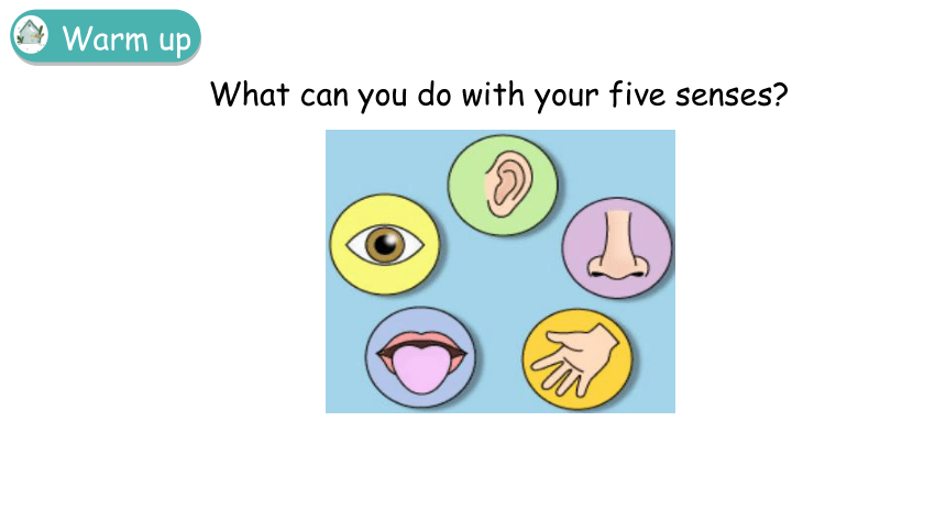 Module 1 Using my five senses Project 课件(共16张PPT)