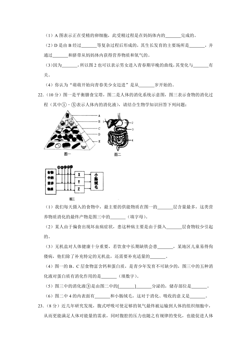 2020-2021学年山东省淄博市周村区七年级（上）期末生物试卷（五四学制）  （ 含解析)